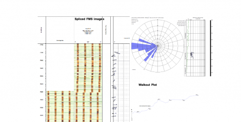 Conceptual Plan for Redevelopment of Marginal Fields in the South China Sea